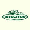 Alligator