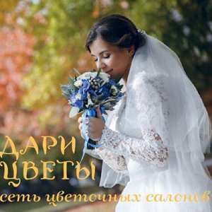 Сеть салонов Дари Цветы