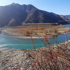 Алтай лада в барнауле