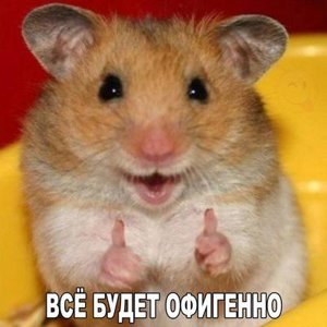 Олег Степанович