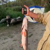 РЫБАК