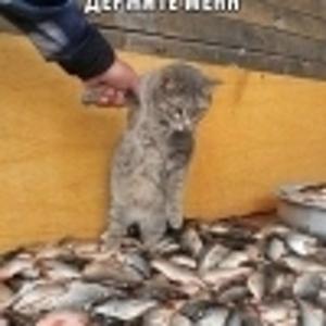 Андрей Вашкевич