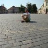 Алексей Сорокин