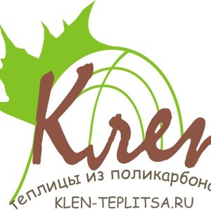 Клён