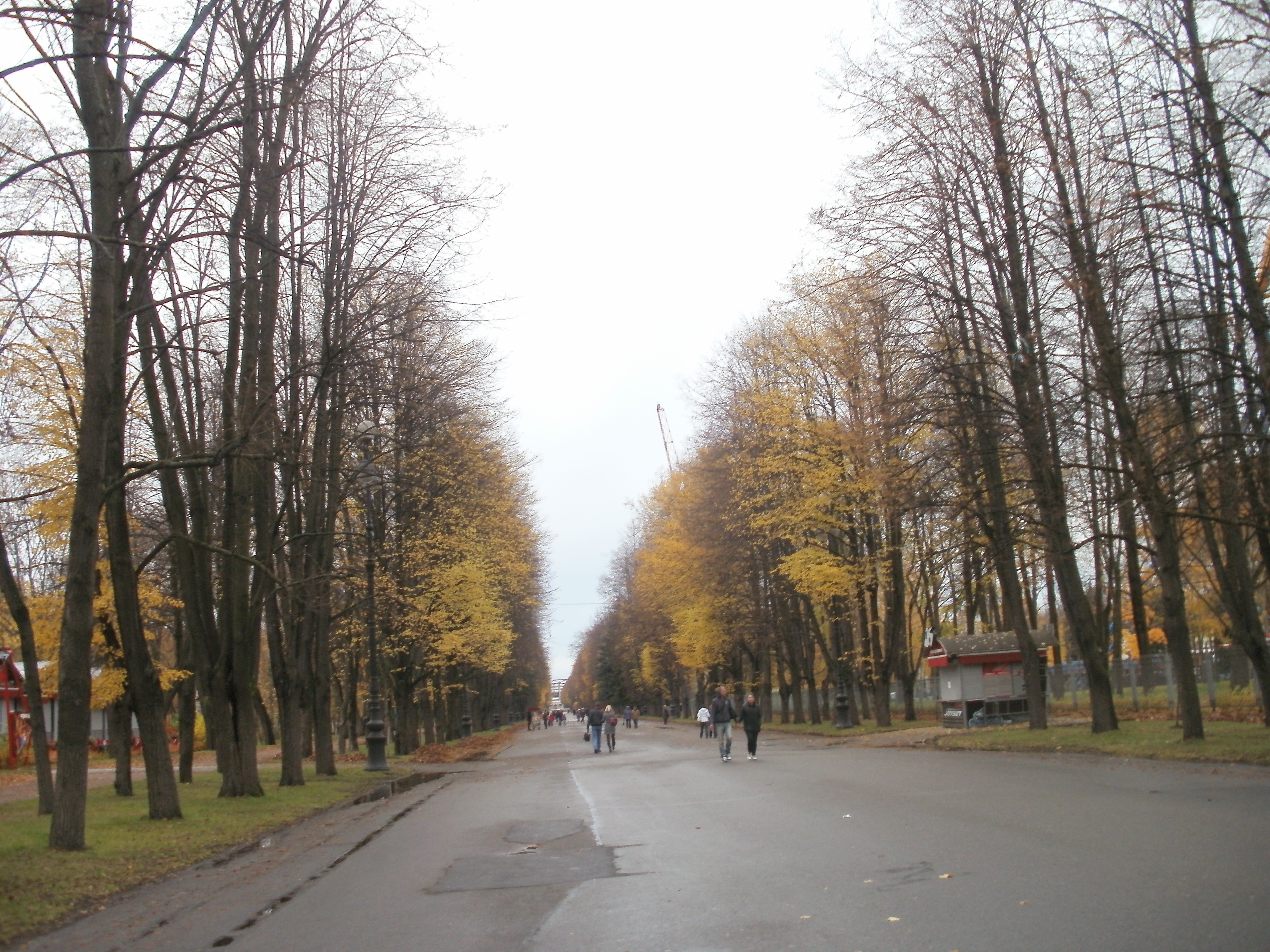 приморский парк победы спб