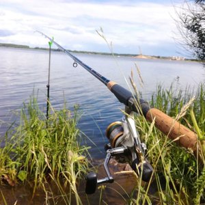 Дмитрий Устюгов