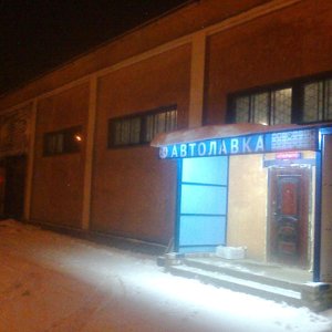Выездной автосервис