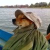 Иван Рыбков