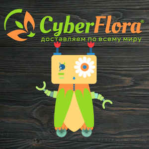 Cyber Flora