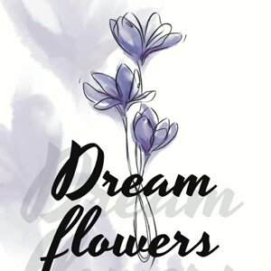 DreamFlovers