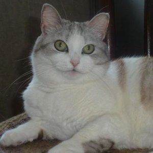 Lyudmila Evdokimova