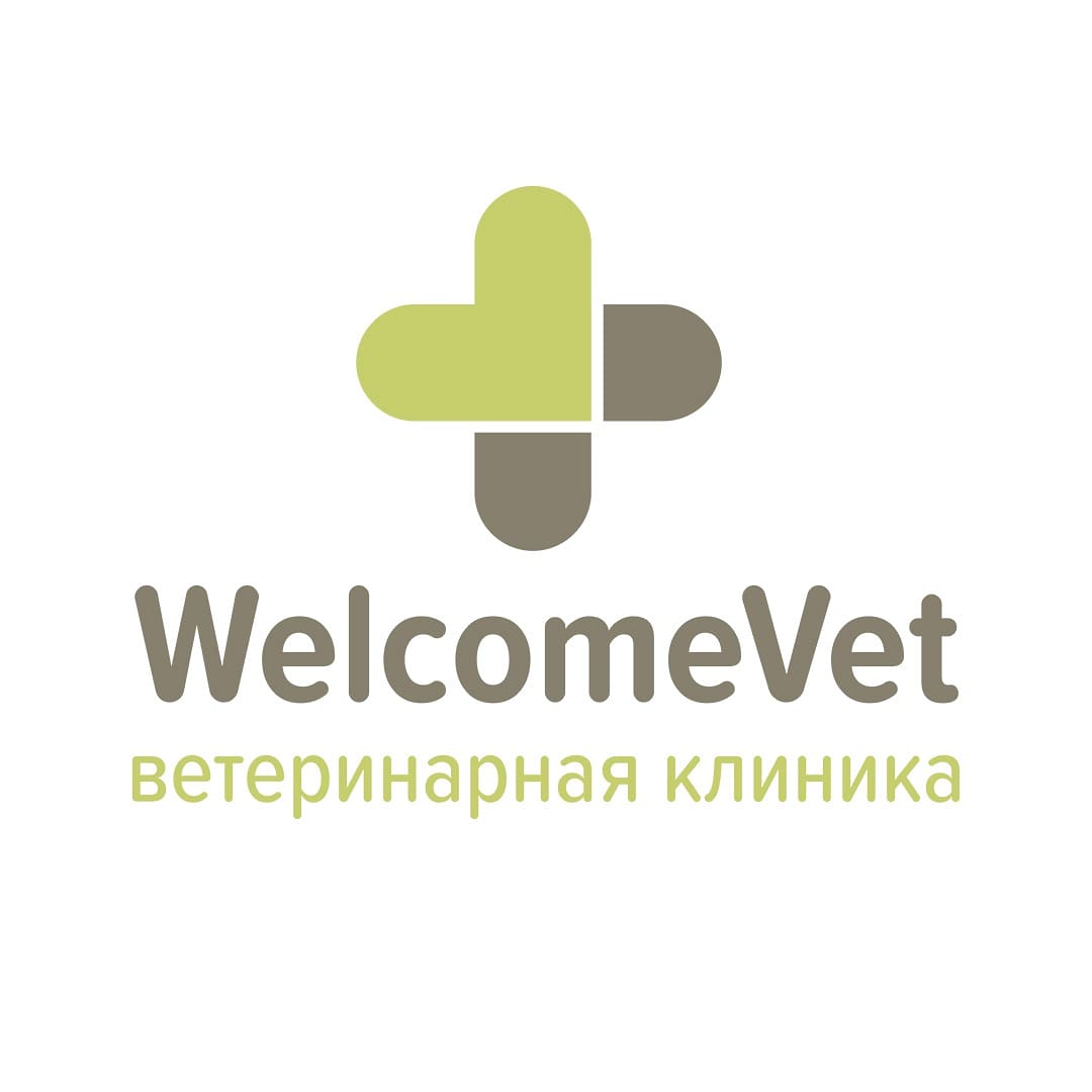 Welcome Vet, ветеринарная клиника в Новосибирске на Морской проспект, 38 —  отзывы, адрес, телефон, фото — Фламп