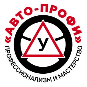 Авто-профи