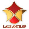 Lale Antilop