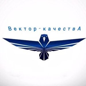 Вектор-качества