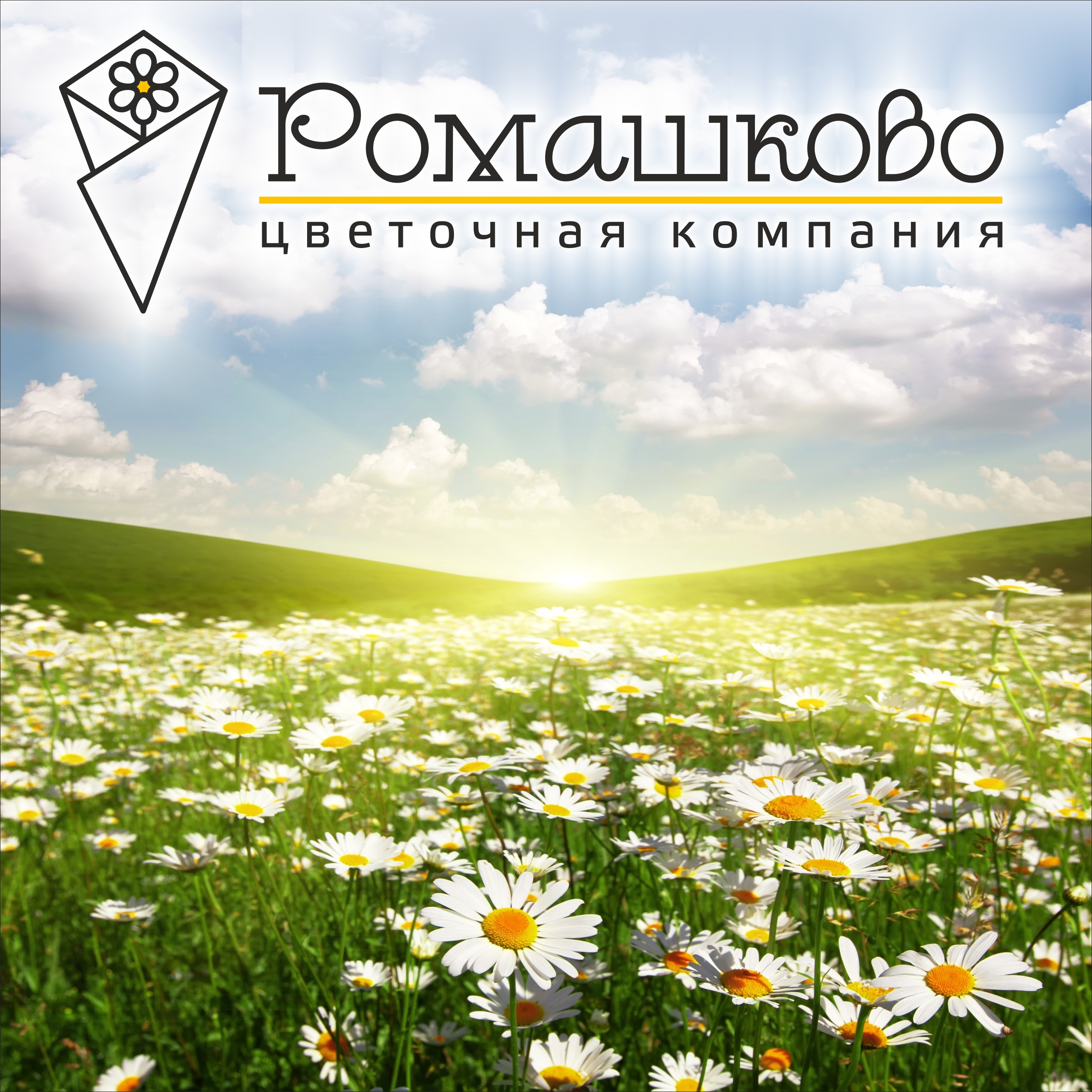 Ромашково, розничный отдел в Красноярске на улица Вильского, 22г — отзывы,  адрес, телефон, фото — Фламп