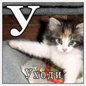 умник