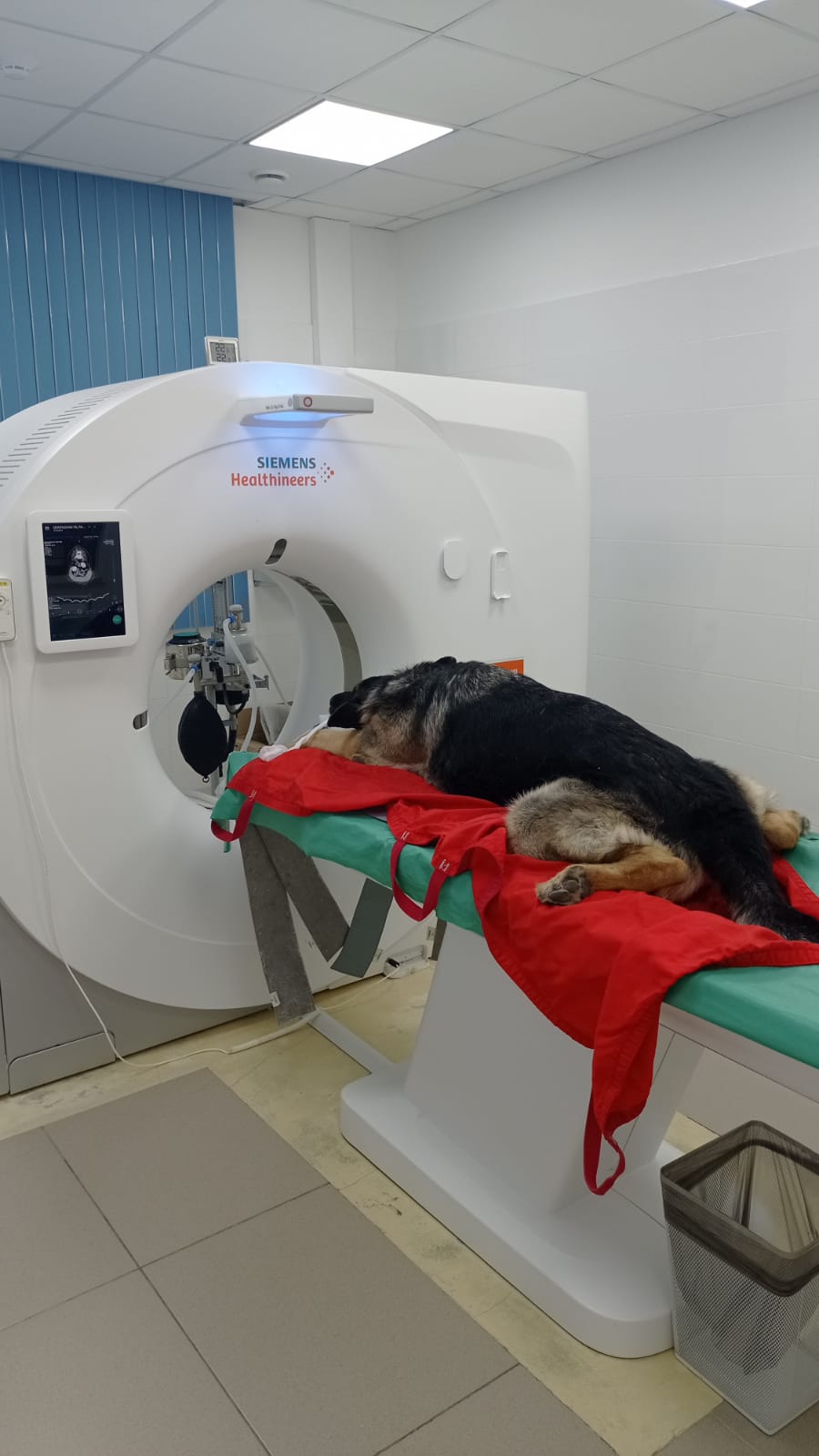 Зоодоктор старица. Совхозная 4 зоодоктор. Ветеринарная клиника на совхозной 4. Ветеринарная клиника на совхозной 4. Совхозная 4 зоодоктор.