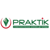Практикстом