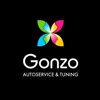 Gonzo service