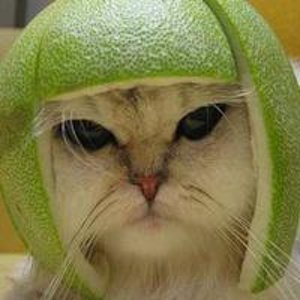 Виктор Батурин