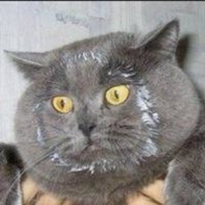 Александр Непоседа