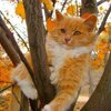 Евгений