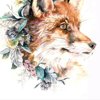 Foxy