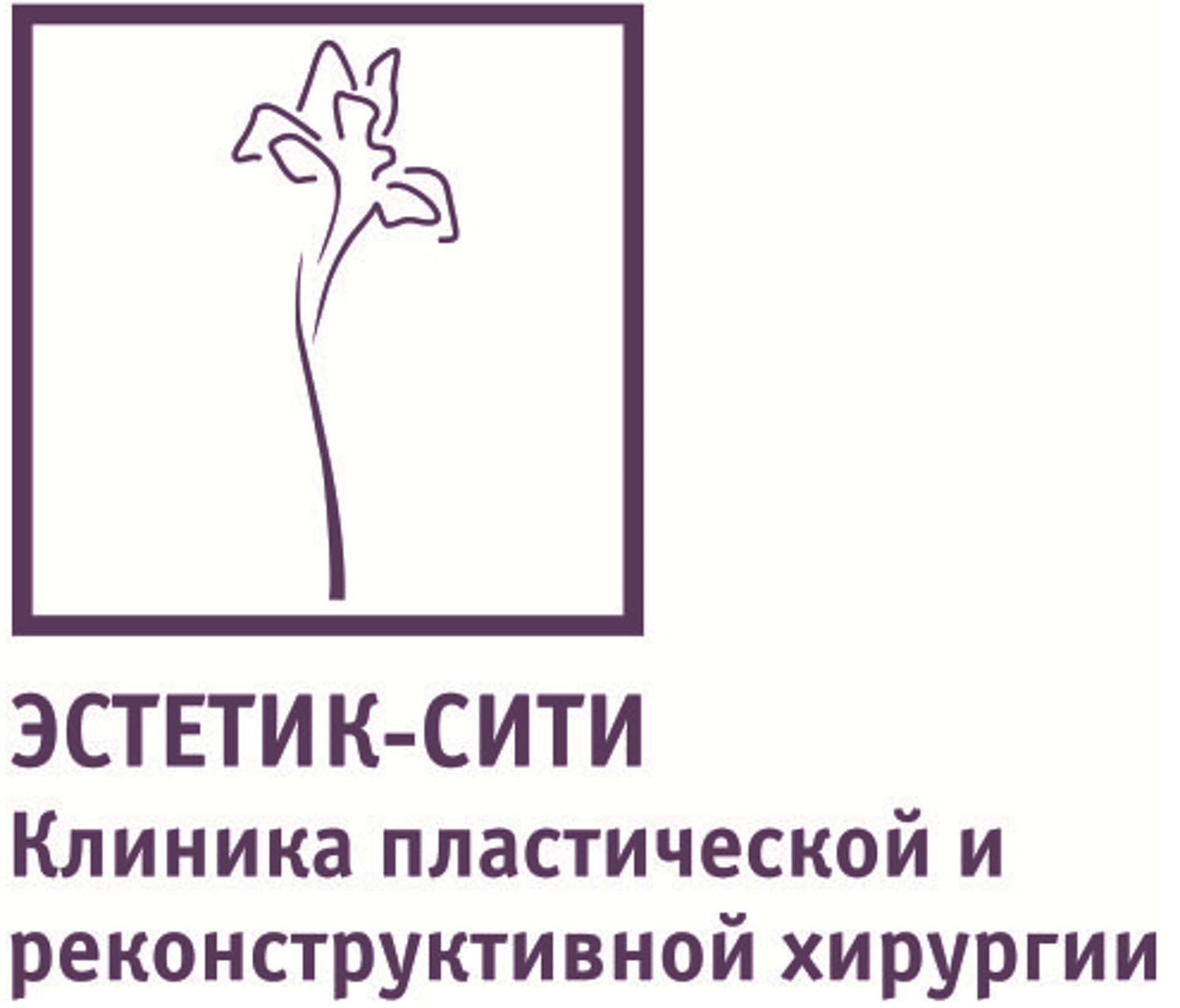 Эстетик-сити, клиника пластической и реконструктивной хирургии, улица  Чернышевского, 10/6, Казань — 2ГИС