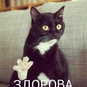 Artyom Bondarev