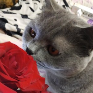Катерина