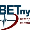 Ветпульс