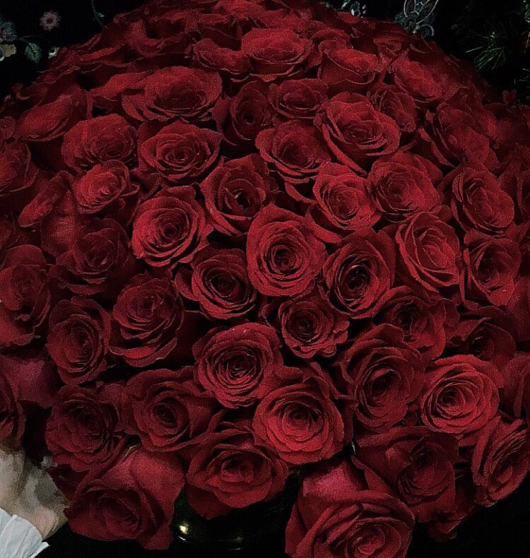 Розы тюмень. 30 Роз. Букет 30 роз. Букет красных роз селфи. 30 Красных роз.