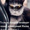 3b29fde3d66d7e7910bf1931e2cda7c9 100 100 адреса магазинов фабрика дверей в новосибирске