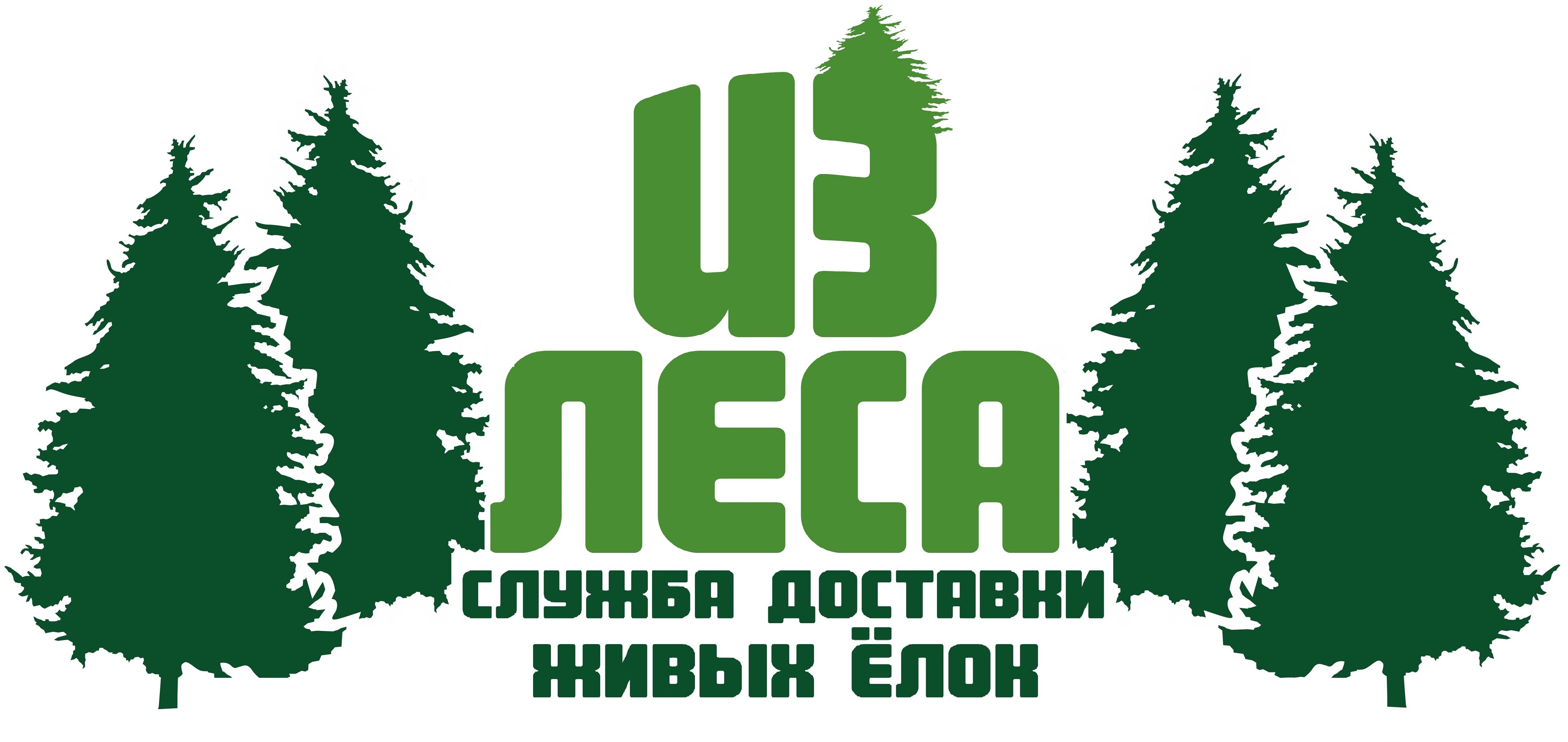 Ели фирма. Продажа елок реклама. Продажа ёлок логотип. Продажа елок баннер. Реклама живых елок.