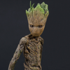 Groot