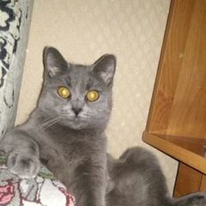 Lyubov Baranova