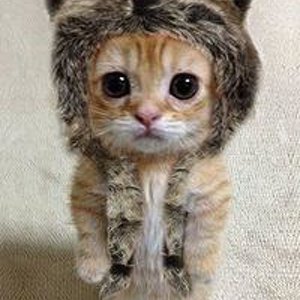 Дарья Цыганкова