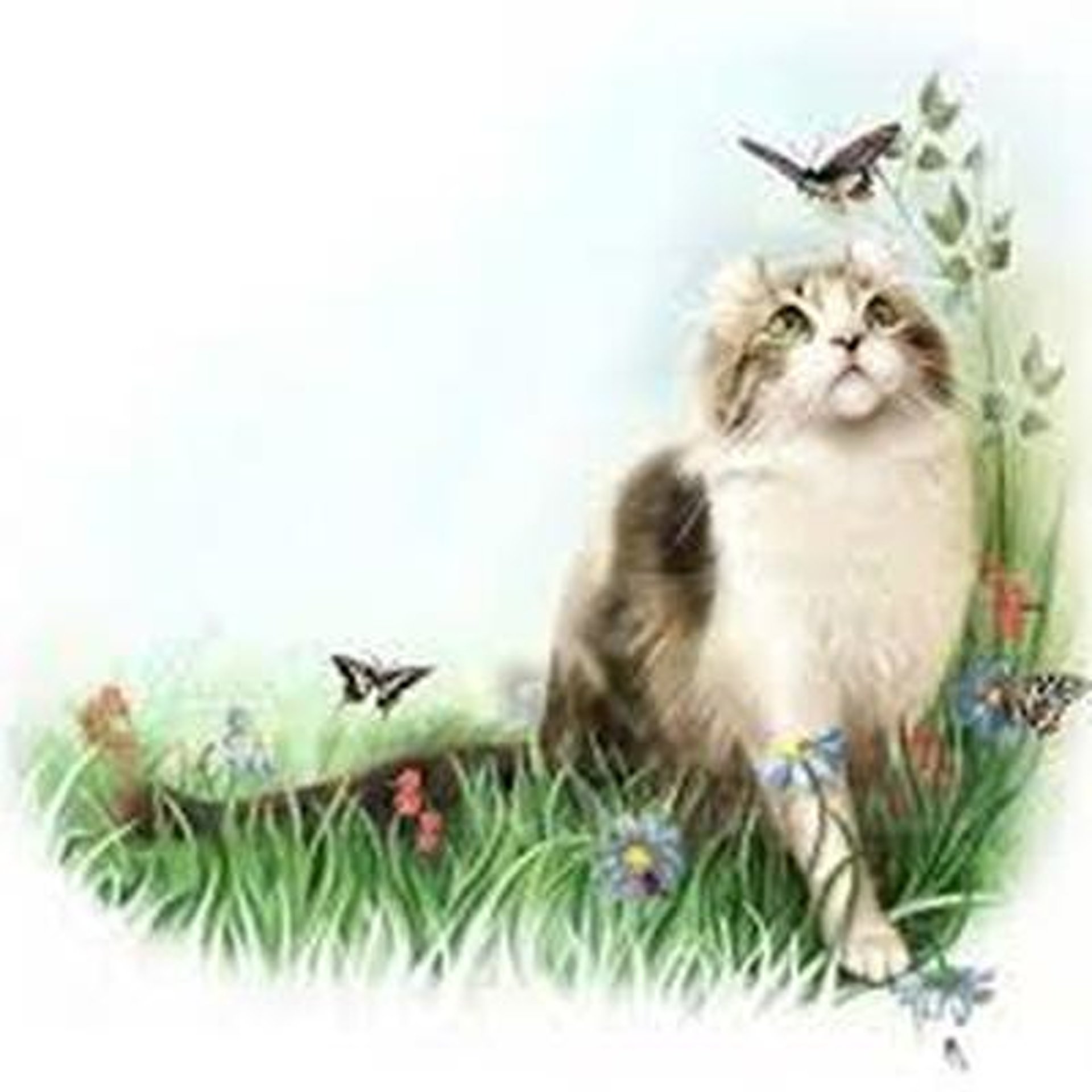 Класс спасибо