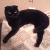 Альфия Гараева