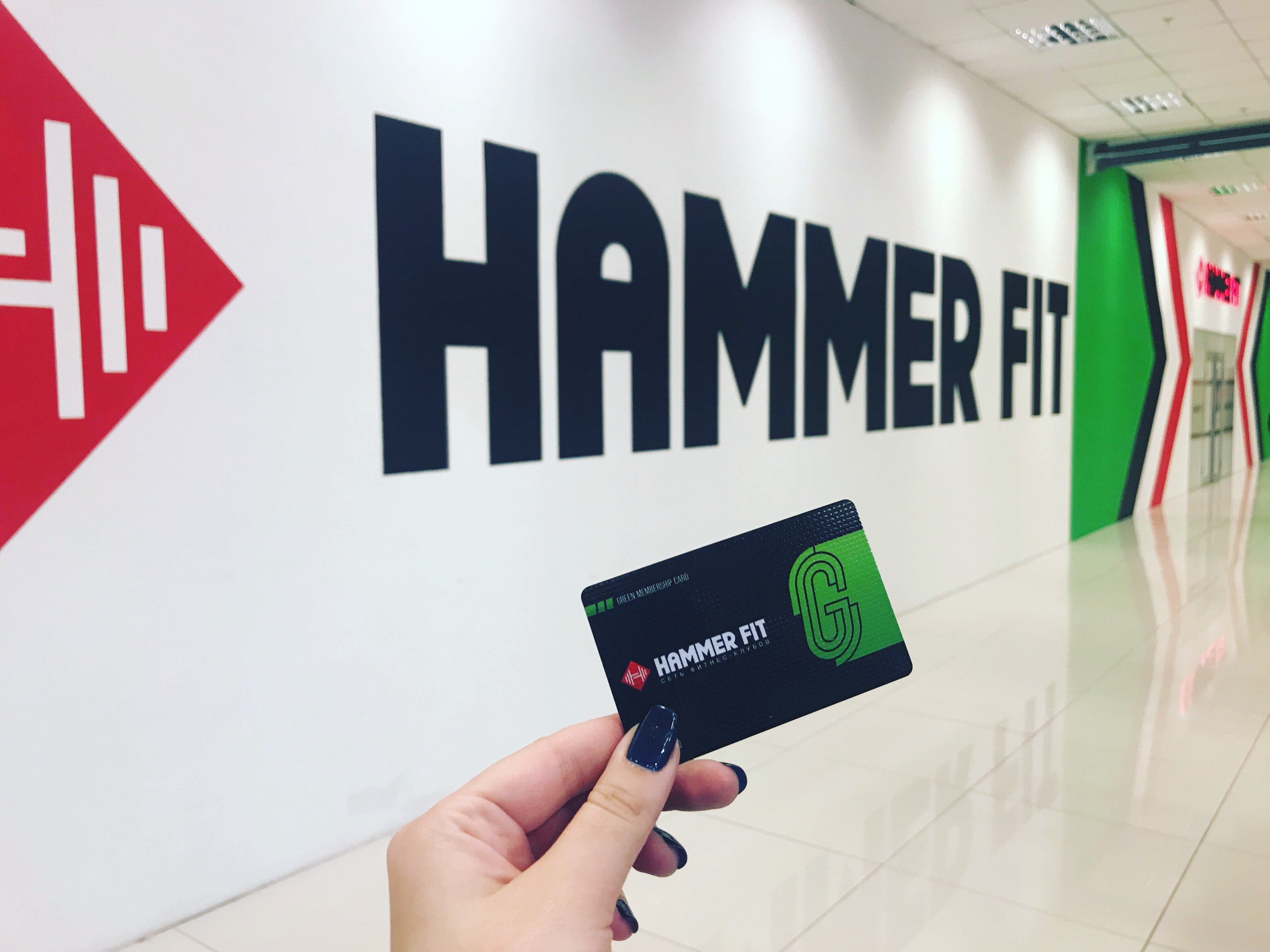 Хамерфит. Хаммер фит. Hammer Fit Новосибирск. Хаммер фит в Новосибирске. Эмблема Хаммер фит.