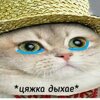mitrosh1nk