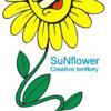 Sun Flower
