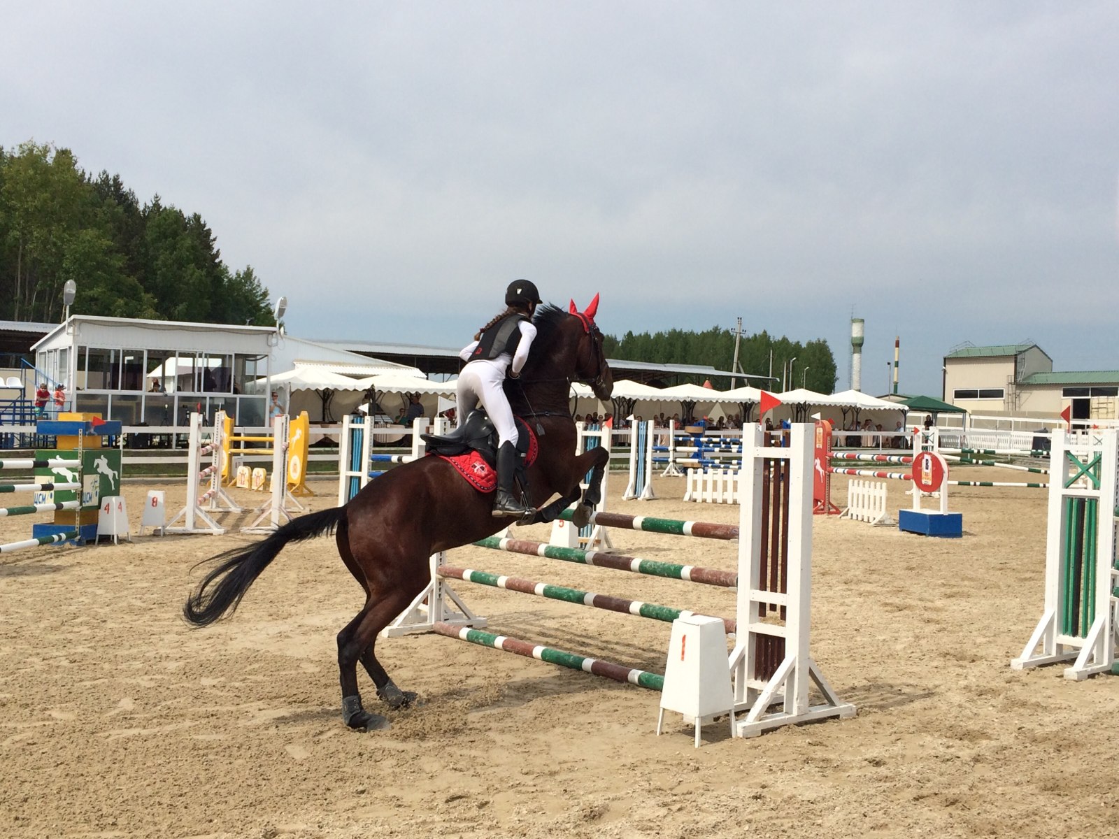 Horse екатеринбург. Кадниково Свердловская белая лошадь. Клуб белая лошадь Екатеринбург. КСК белая лошадь Екатеринбург. КСК белая лошадь Кадниково.