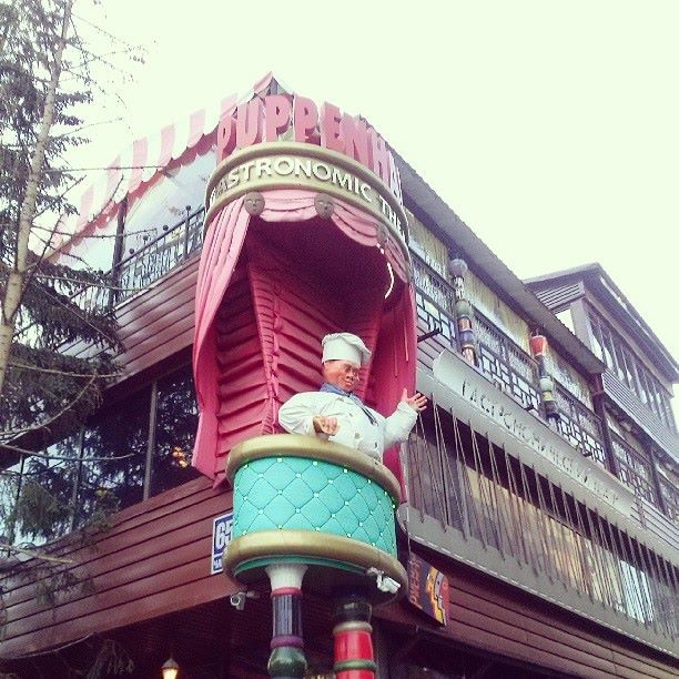 Пуппенхаус ул чаплыгина 65 1 фото. Новосибирск улица Чаплыгина 65/1 Puppenhaus. Puppenhaus ул. Чаплыгина, 65/1, Новосибирск меню. Puppenhaus ул. Чаплыгина, 65/1 меню. Puppenhaus ул. Чаплыгина, 65/1 фото