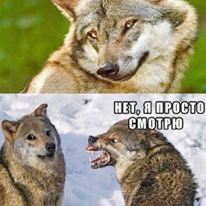 Я просто посмотрю