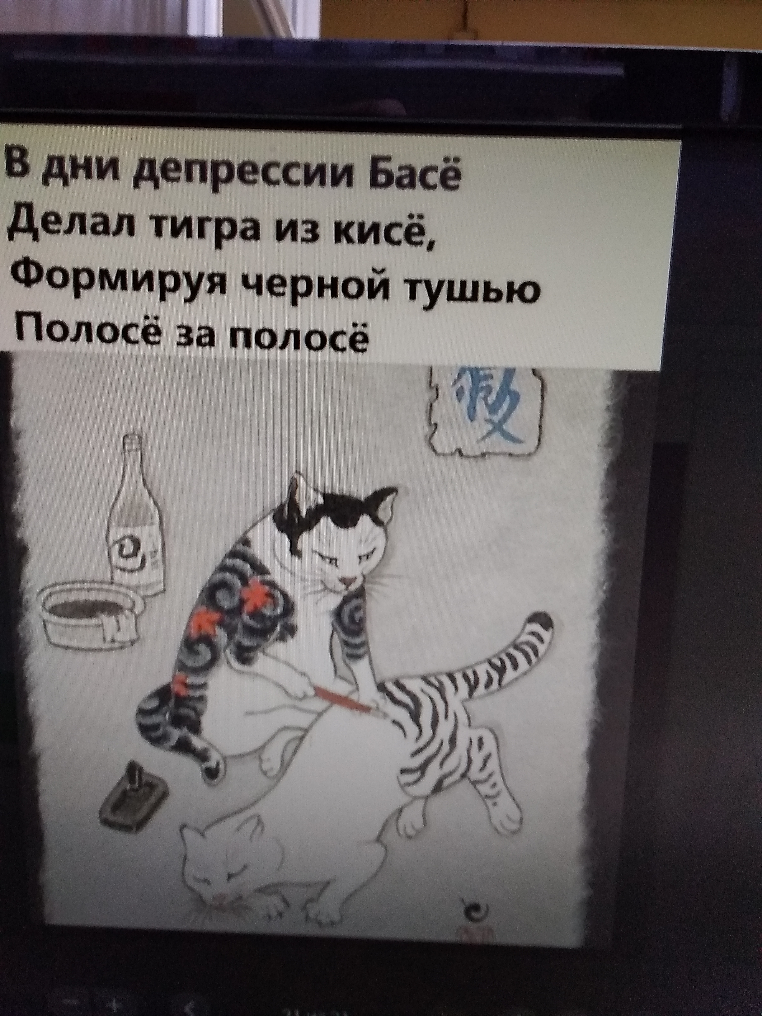 коте басе