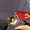 Марина Рассанова