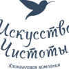 Искусство чистоты