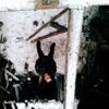 winchester1993